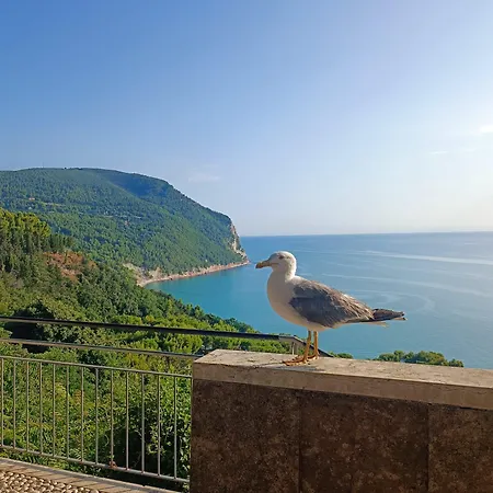 Taverna Sport Daire *